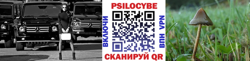 Галлюциногенные грибы GOLDEN TEACHER  где купить наркоту  Рошаль 